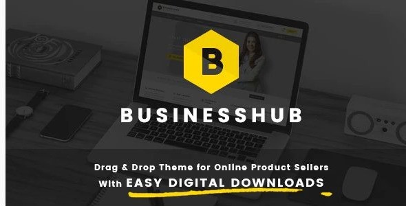 Business Hub | Responsive WordPress Theme For Online