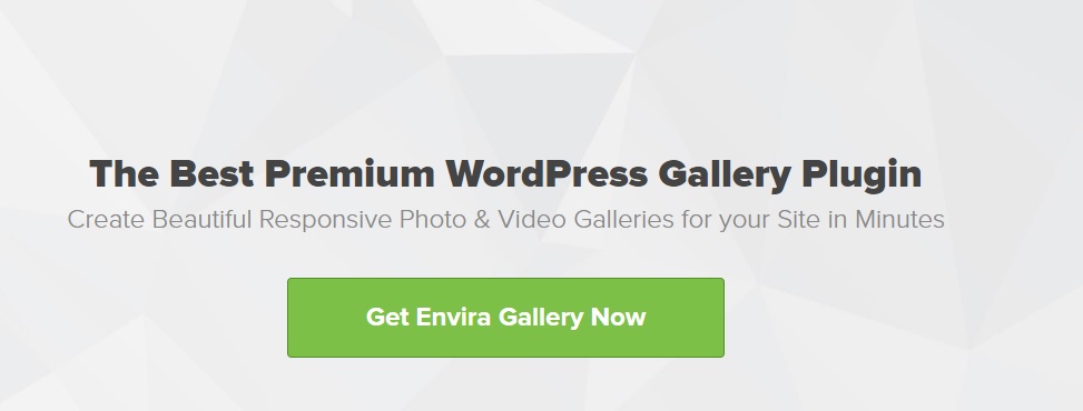 Envira Gallery - Premium WordPress Gallery Plugin