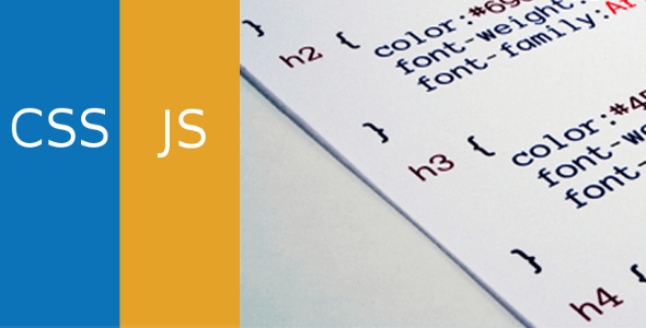 SilkyPress | Simple Custom CSS and JS PRO