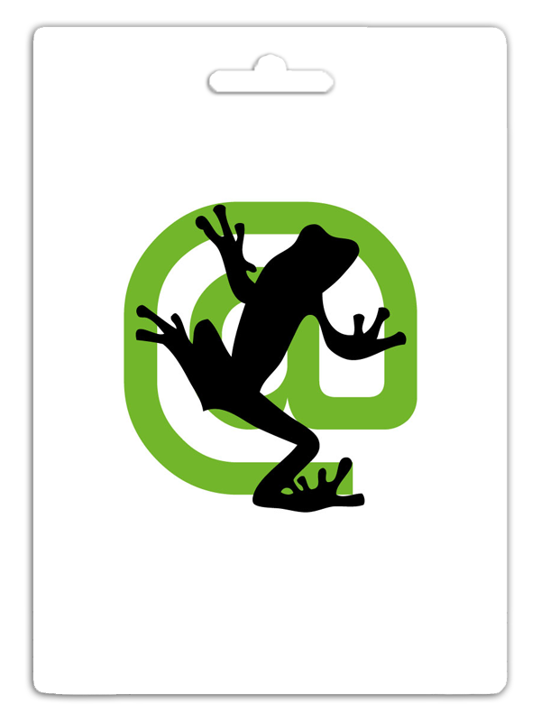 Screaming Frog SEO Spider Website Crawler - 1 Year