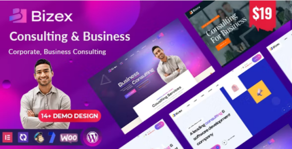 Bizex  Business Consulting