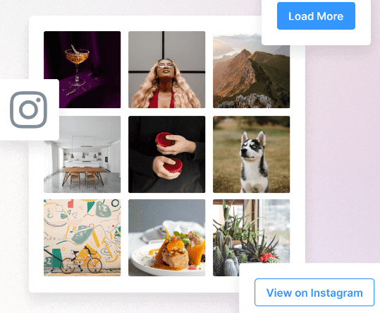 + Instagram Widget & Block PRO WPZOOM Social Feed Widget & Block Pro