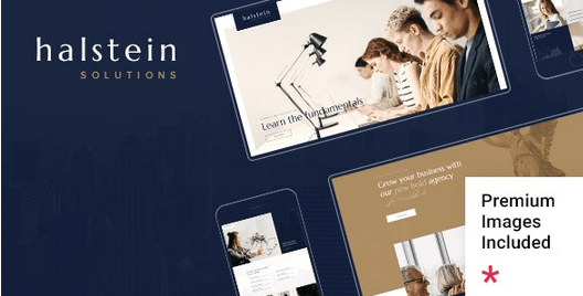 Halstein  Business Consulting