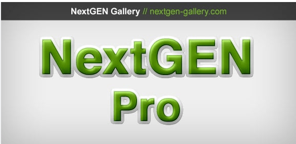 NextGen Pro by Imagely + Imagely Theme