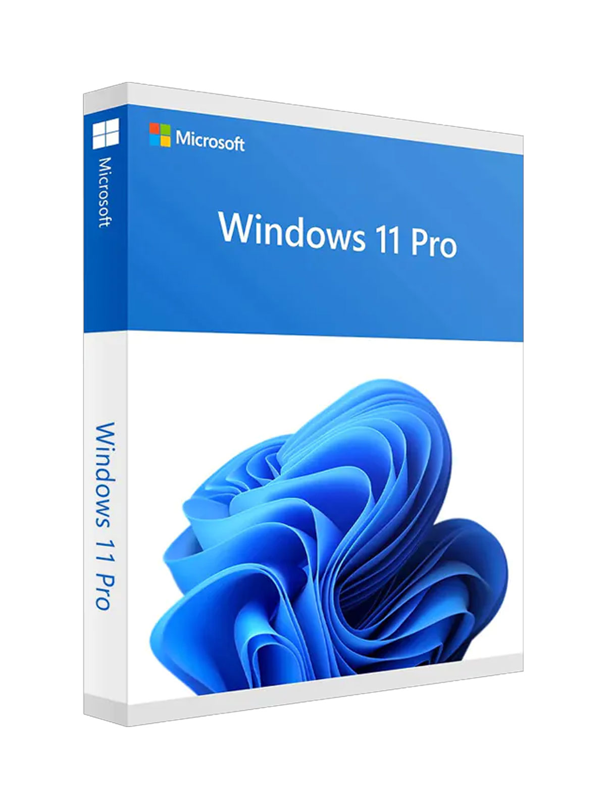 Windows 11 Pro OEM (Bind) License Key