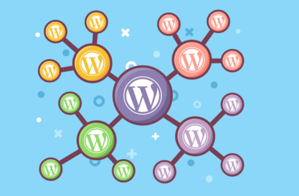 WordPress Testing Environment Demo Builder MotoPress